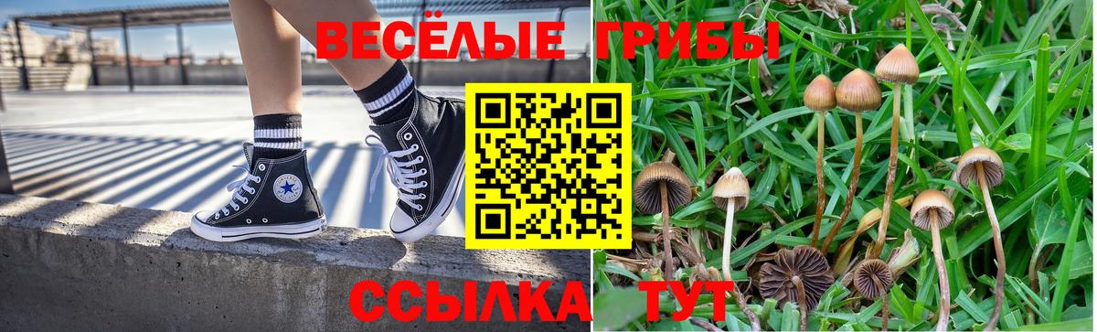 Галлюциногенные грибы MAGIC MUSHROOMS  Вход с VPN  Минеральные Воды 